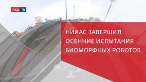 НИИАС завершил осенние испытания биоморфных роботов