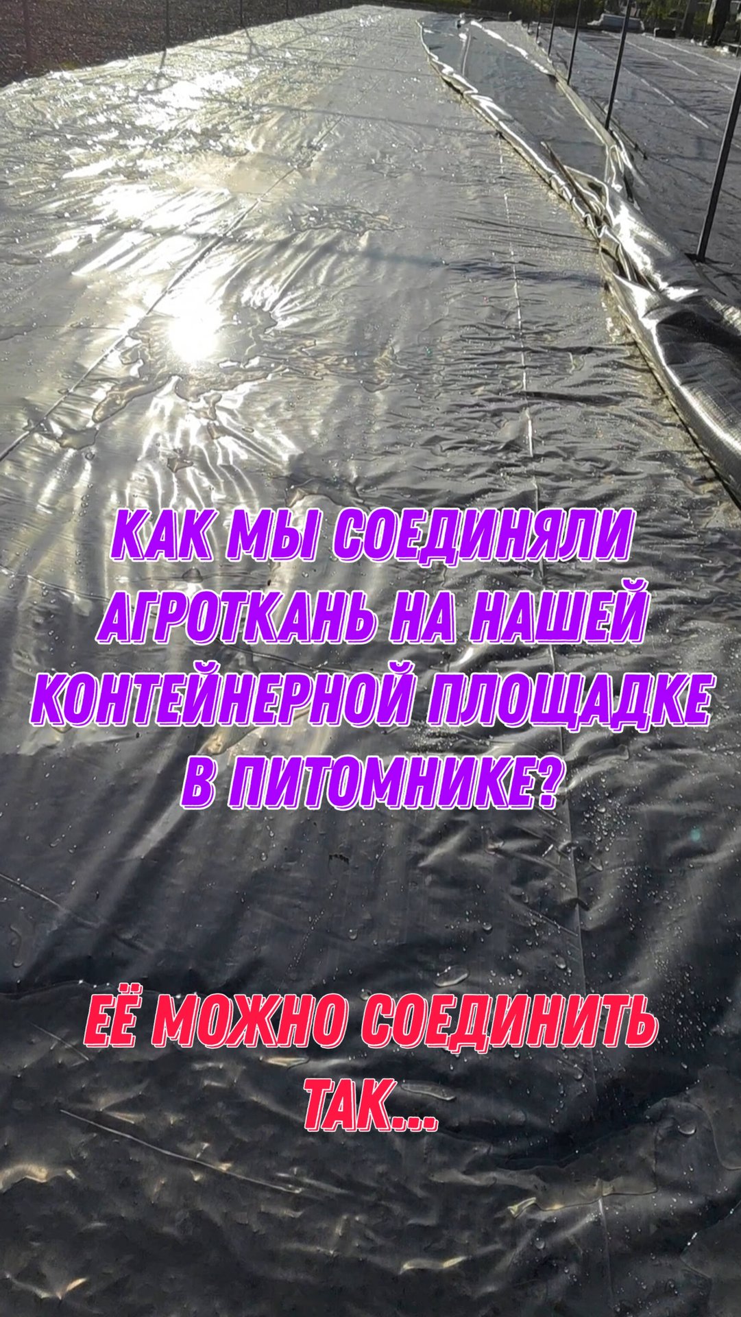 Как мы соединяли агроткань на нашей контейнерной площадке в питомнике? Еë можно соединить так... смотреть онлайн