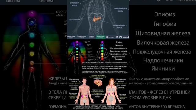 Семь небо-с-Водных ограничений #железы #чакры #глазбога #глазгора #шишковиднаяжелеза #знания #поиск