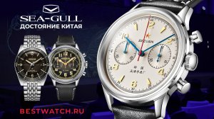 Обзор Seagull: когда Made in China – звучит гордо! Знакомство с маркой и закулисье юбилея