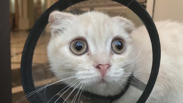 Природа смотреть онлайн