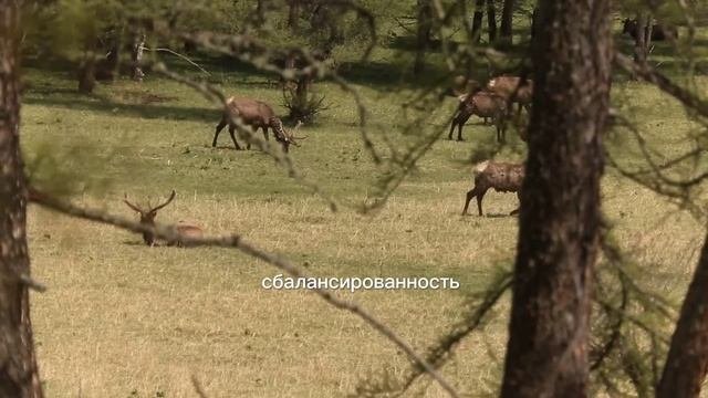 медитация 