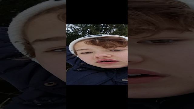 истории в лесу