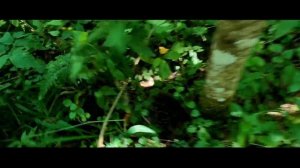 Доработка места подъёма бойца РККА