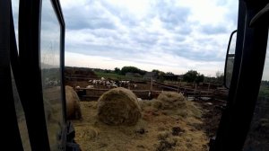 дочищаю навоз на мтз  после амкадора