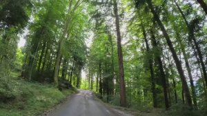 🚗 SmartTV 4К ➤ 🌄 Живописная поездка по перевалу Эхерлипасс в Швейцарии из Сарнена в Далленвиль!