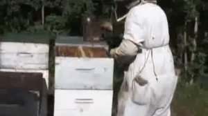 КАНАДСКОЕ ПЧЕЛОВОДСТВО 4(Пала 2006) .mp4
