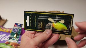 Подарок от подписчика и друга! Снасти на спиннинг MEGABASS & SALMO! FISHING LURES 4 PIKE