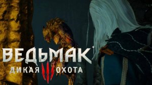 Ведьмак 3: Дикая охота [NEXT-GEN UPDATE] - #47 ПАРНЯ ЖАЛЬ! (4К)