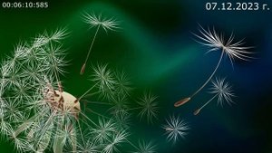 833 Как это просто жить 07.12.2023 г