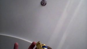 Пестик на пестонах