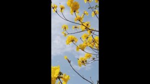 1 Минутное видео о природе🤗