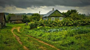 Как понять, что пора уезжать в деревню.