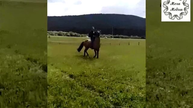 Башҡорттоң аты ла дәртле смотреть онлайн