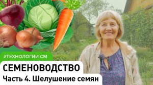 Семеноводство часть 4. Шелушение семян: лук, морковь, свёкла, капуста