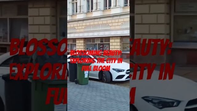 Спринг видео. Спринг видео