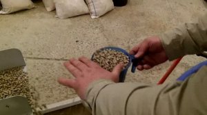 Производство пеллет на линии "СКАРАБЕЙ"