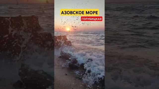 АЗОВСКОЕ МОРЕ/ГОЛУБИЦКАЯ #голубицкая #азовскоеморе #море #отдых #отпуск2024
