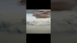 спорт 5 минут Mr Zeni 560