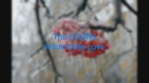 The Doors - Wintertime Love