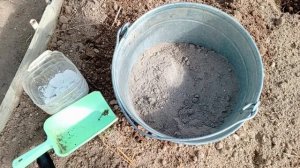 Баклажан ‘Мерлин‘ F1. Тестирование семян на 7 дач. Ольга Кузина, Иваново