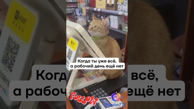 Хотелось бы домой 😂