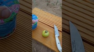 Как преподаватель робототехники живёт в палатке на берегу финского залива. www.robo-lada.ru