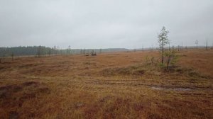 Мини вездеход