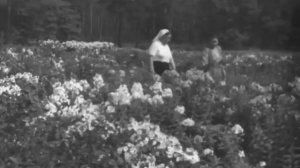 На окраинах Москвы  (документальный фильм  1953 г.)