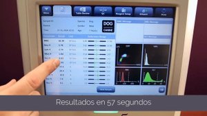 Element HT5 - Analizador Hematológico Veterinario