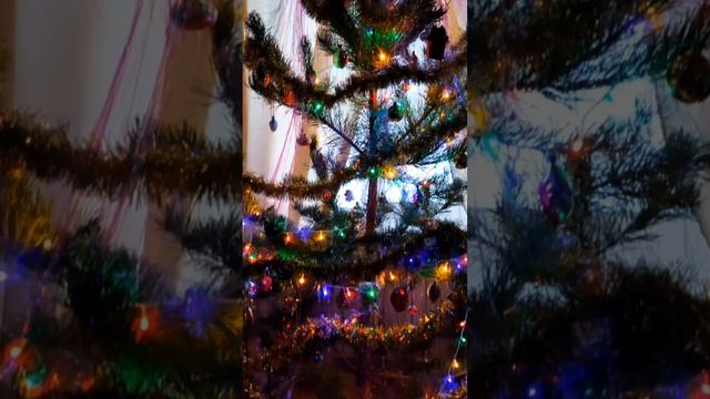 Теперь она нарядная 🎊