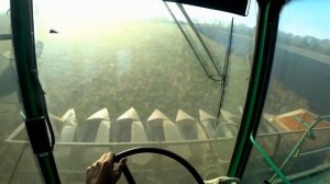 продолжение уборочной подсолнечника,предшественник суданка ,гибрид нсх сангай,безпахотная обработка