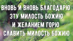 От погибели спасла - минус мой