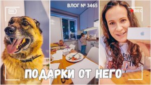 ВЛОГ №3465: Что мне подарил Дед Мороз? | Все пошло не по плану | Рекса снимается   27.12.24