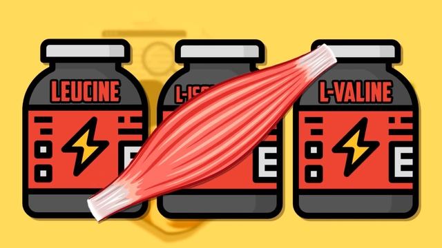 Вот зачем нужны отдельные Аминокислоты смотреть онлайн