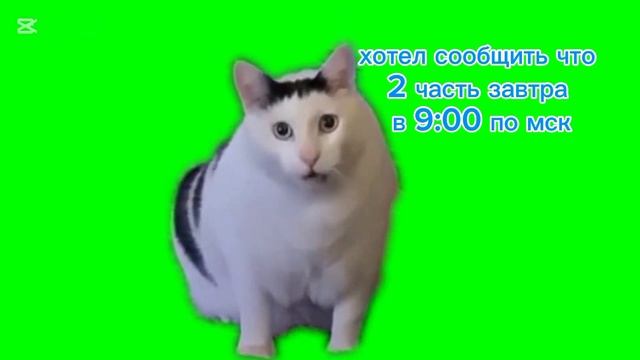 2 часть в 9:00