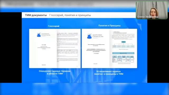 Звонарева Е.А. Внедрение и применение ТИМ на федеральном уровне и уровне субъектов РФ