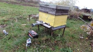 Дымовая обработка пчел от клеща используя щавелевою кислоту. Oxalic Acid Treatment of Honey Bees.