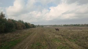 Выйду ночью в поле с Конём (QuattroBass Cover)