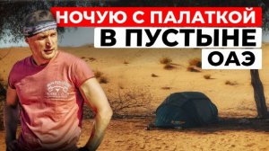 Хайкинг с собакой и ночёвка в пустыне в ОАЭ | Особенности маршрута