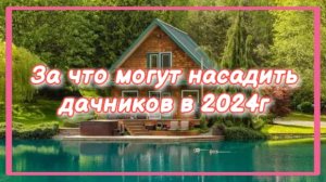 Новые штрафы для дачников с 2024г.
