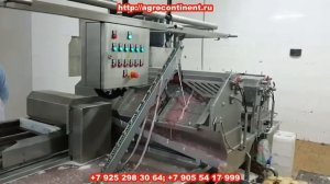 Обработка кишок, линия на производстве