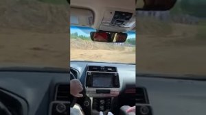 Лэнд Круизер Прадо 150 на бездорожье. Дилетант с инструктором.