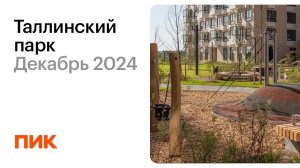 Таллинский парк 11.12.2024