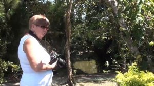 Пура Таман Аюн. Бали .Индонезия