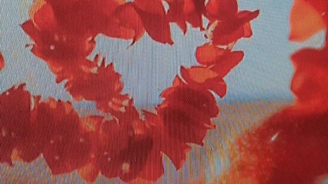 романс " бывает в жизни встреча " АКА смотреть онлайн