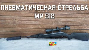 Пневматическая стрельба МР 512 СНАЙПЕР #пневматическаястрельба #мр512 #мр512видео