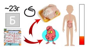 Куриная грудка- это ХУДШИЙ источник белка