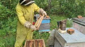 Что нужно знать о работе после откачки мёда  и подготовке к зиме. Советы по подготовке пчёл к зиме.