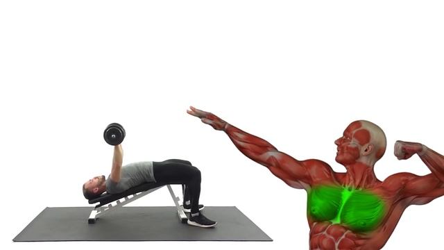 Всего 2 Упражнения для Мощного Торса смотреть онлайн